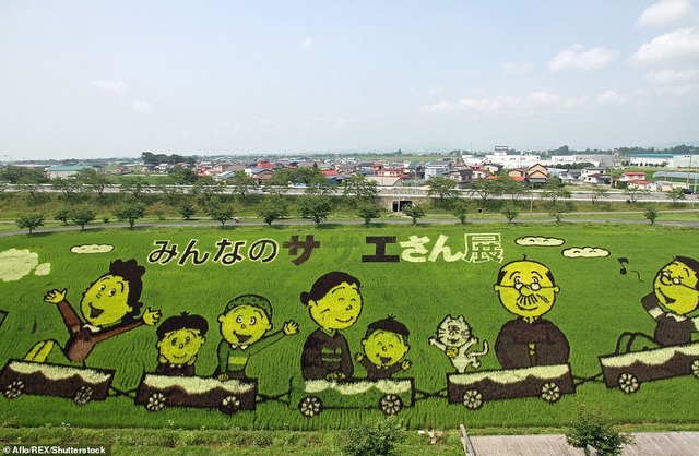 Những cánh đồng lúa “chất chơi” của nông dân Nhật Bản - 5