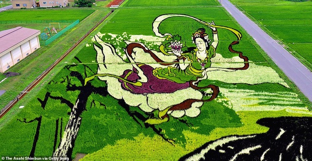 Những cánh đồng lúa “chất chơi” của nông dân Nhật Bản - 7