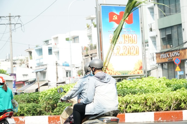 Người Sài Gòn đổ xô mua mía cầu tài đầu năm - 9 Người Sài Gòn đổ xô mua mía cầu tài đầu năm - 9