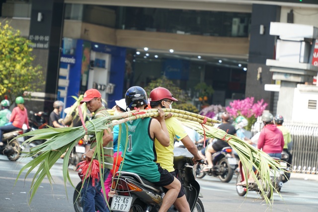 Người Sài Gòn đổ xô mua mía cầu tài đầu năm - 7 Người Sài Gòn đổ xô mua mía cầu tài đầu năm - 7