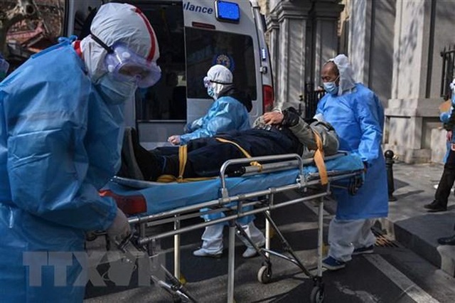 Viện Pasteur Paris nuôi cấy thành công các chủng virus corona mới - 1 Viện Pasteur Paris nuôi cấy thành công các chủng virus corona mới - 1