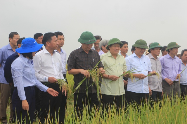Bàn giao nhiệm vụ Chủ tịch UBND tỉnh Quảng Trị cho ông Hà Sỹ Đồng - 1 Bàn giao nhiệm vụ Chủ tịch UBND tỉnh Quảng Trị cho ông Hà Sỹ Đồng - 1