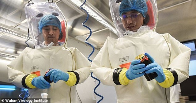 Nhà khoa học bác giả thuyết virus corona thoát ra từ phòng thí nghiệm Trung Quốc