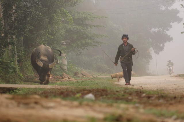 Mây giăng kín như bồng lai tiên cảnh trên đỉnh Giăng Màn - 9 Mây giăng kín như bồng lai tiên cảnh trên đỉnh Giăng Màn - 9
