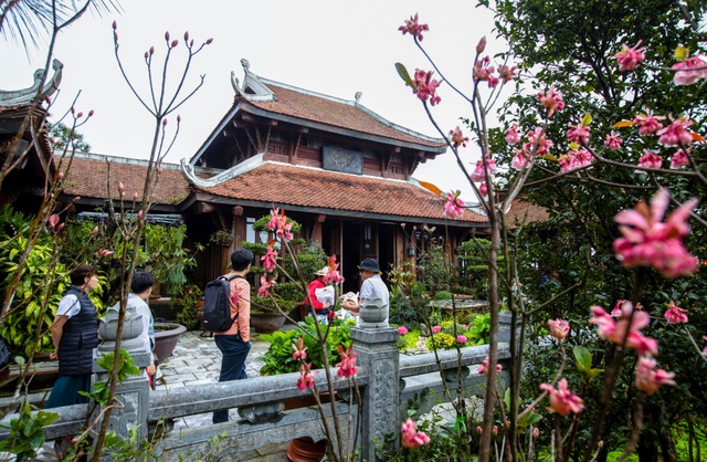 Xuân về, nhớ đào chuông Bà Nà - 4 Xuân về, nhớ đào chuông Bà Nà - 4