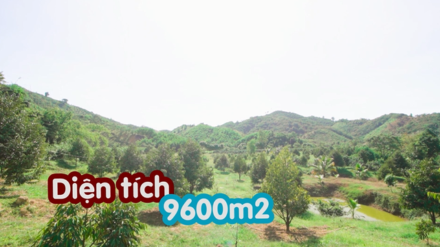 Nông trại tiền tỷ có suối chảy róc rách của “mỹ nhân hàng hiệu” trong showbiz Việt - 1 Nông trại tiền tỷ có suối chảy róc rách của “mỹ nhân hàng hiệu” trong showbiz Việt - 1