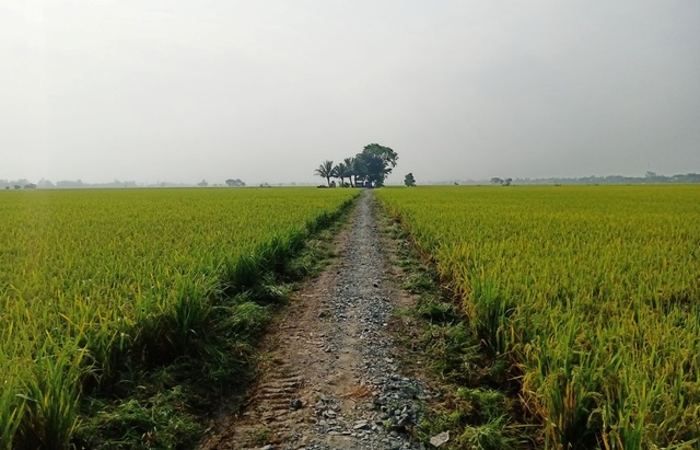 “Ao thần” cả trăm năm chưa bao giờ cạn nước - 2 “Ao thần” cả trăm năm chưa bao giờ cạn nước - 2