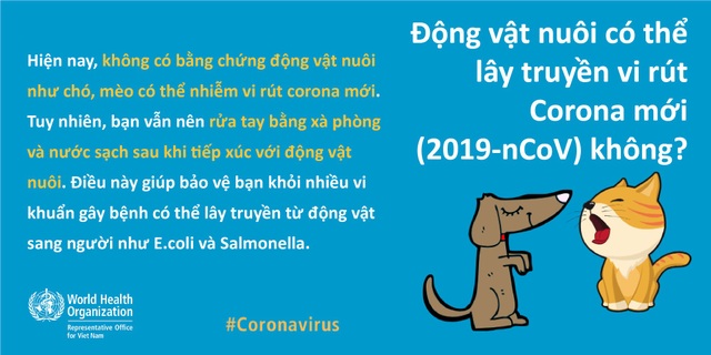 Virus corona có lây truyền qua động vật nuôi, thực phẩm? - 2 Virus corona có lây truyền qua động vật nuôi, thực phẩm? - 2