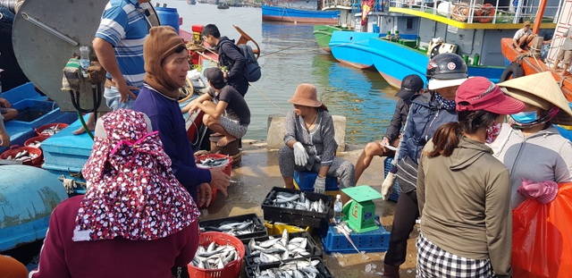 Quảng Trị: Ngư dân thu gần trăm triệu đồng nhờ trúng “lộc biển” đầu năm - 3