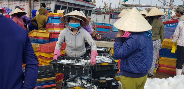 Quảng Trị: Ngư dân thu gần trăm triệu đồng nhờ trúng “lộc biển” đầu năm - 8
