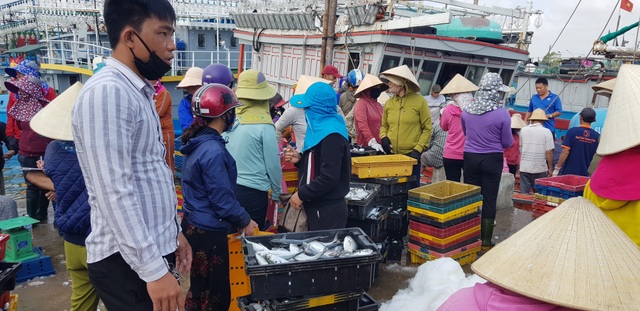 Quảng Trị: Ngư dân thu gần trăm triệu đồng nhờ trúng “lộc biển” đầu năm - 4