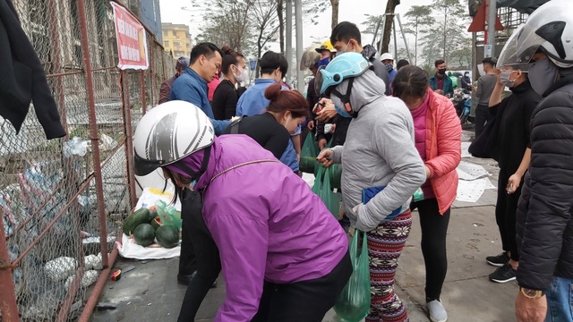 Dân Hà Nội đổ xô mua dưa hấu giải cứu nông dân các tỉnh phía Nam - 6 Dân Hà Nội đổ xô mua dưa hấu giải cứu nông dân các tỉnh phía Nam - 6