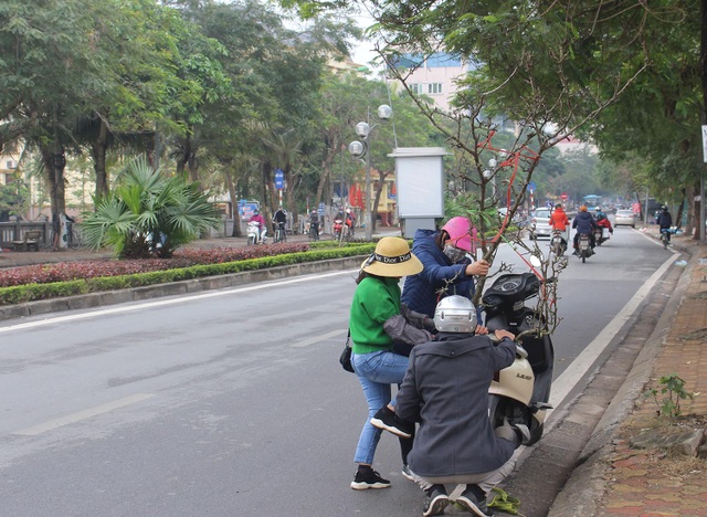 Đào phai, mai tàn, dân Hà Nội đổ xô đi mua hoa lê rừng - 5 Đào phai, mai tàn, dân Hà Nội đổ xô đi mua hoa lê rừng - 5