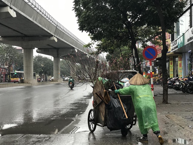 Hết Tết, cành đào tiền triệu đổi vận biến thành củi khô - 5 Hết Tết, cành đào tiền triệu đổi vận biến thành củi khô - 5