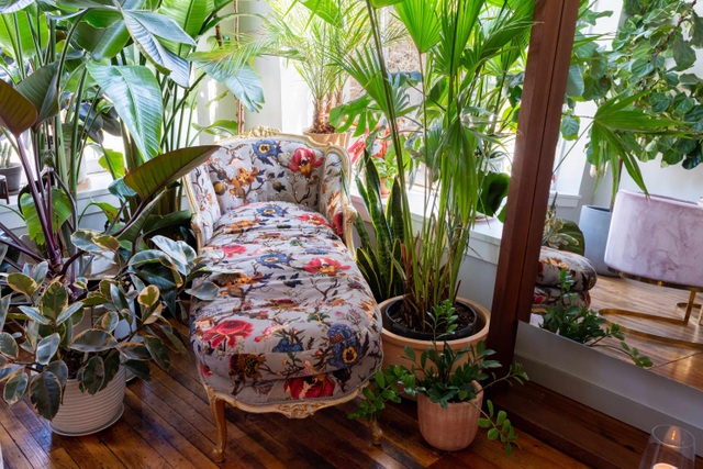 Bất ngờ ngôi nhà trồng 300 loại cây, đẹp chẳng kém “rừng Amazon thu nhỏ” - 6 Bất ngờ ngôi nhà trồng 300 loại cây, đẹp chẳng kém “rừng Amazon thu nhỏ” - 6