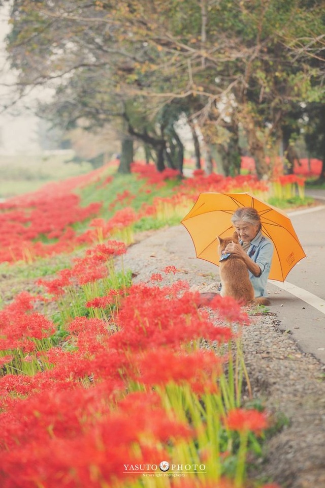 Gác lại căng thẳng để nhìn ngắm cuộc sống yên bình của “bà cụ và cún cưng” - Ảnh minh hoạ 17