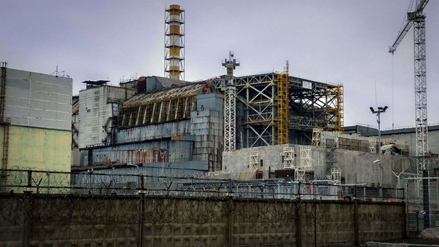 Nấm ăn bức xạ được tìm thấy trong lò phản ứng hạt nhân Chernobyl - 1