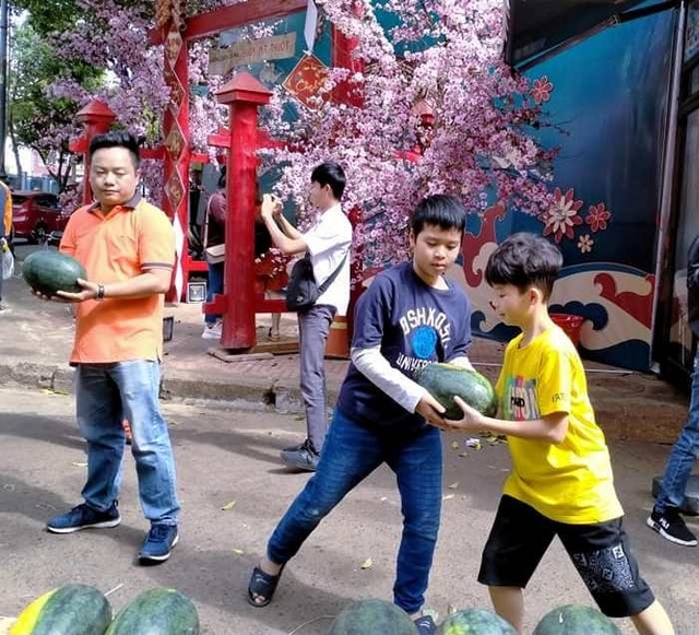 Người dân Đắk Lắk hào hứng “giải cứu” dưa hấu giúp bà con nông dân - 2 Người dân Đắk Lắk hào hứng “giải cứu” dưa hấu giúp bà con nông dân - 2