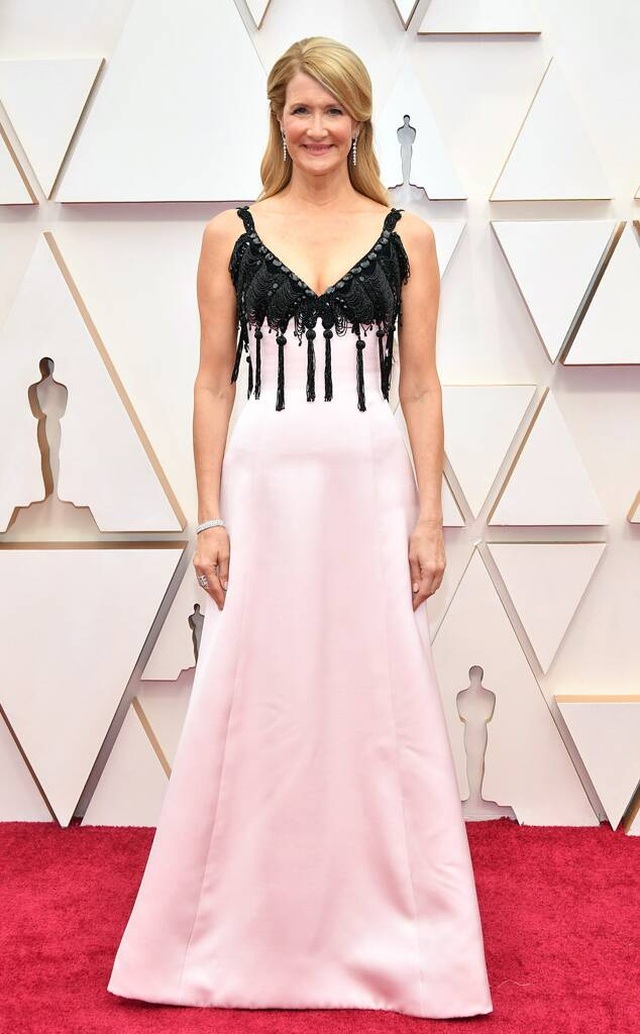 Oscar 2020: Ký sinh trùng nhận giải Phim xuất sắc và Đạo diễn xuất sắc - 15 Oscar 2020: Ký sinh trùng nhận giải Phim xuất sắc và Đạo diễn xuất sắc - 15