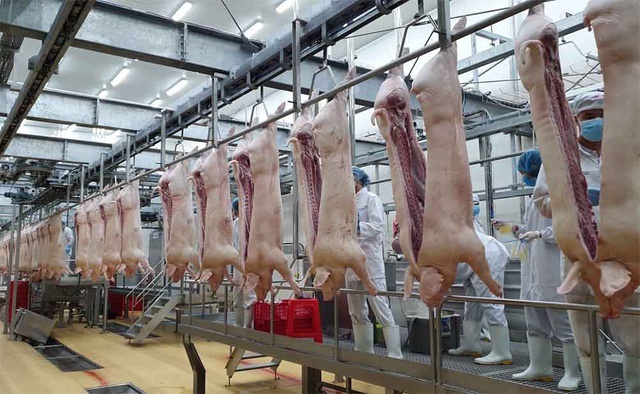 Thủ tướng yêu cầu 3 bộ báo cáo trách nhiệm vì để giá thịt lợn tăng cao - 1 Thủ tướng yêu cầu 3 bộ báo cáo trách nhiệm vì để giá thịt lợn tăng cao - 1