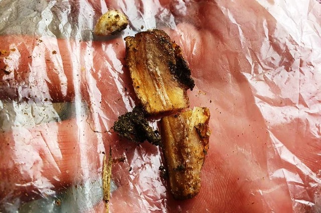 1 đêm đánh bả, 2 anh em ruột trộm gần chục con chó, mèo - 1 1 đêm đánh bả, 2 anh em ruột trộm gần chục con chó, mèo - 1