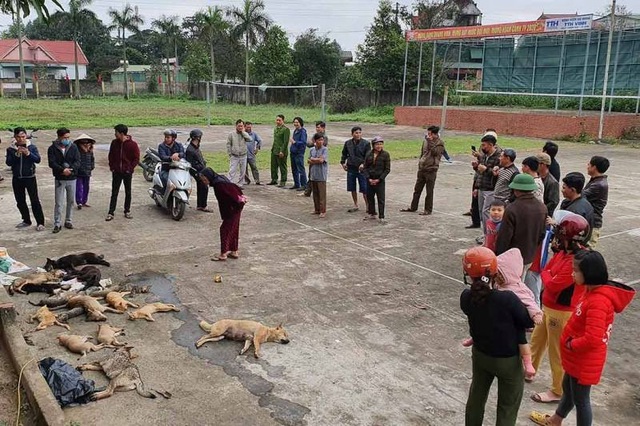 1 đêm đánh bả, 2 anh em ruột trộm gần chục con chó, mèo - 3 1 đêm đánh bả, 2 anh em ruột trộm gần chục con chó, mèo - 3