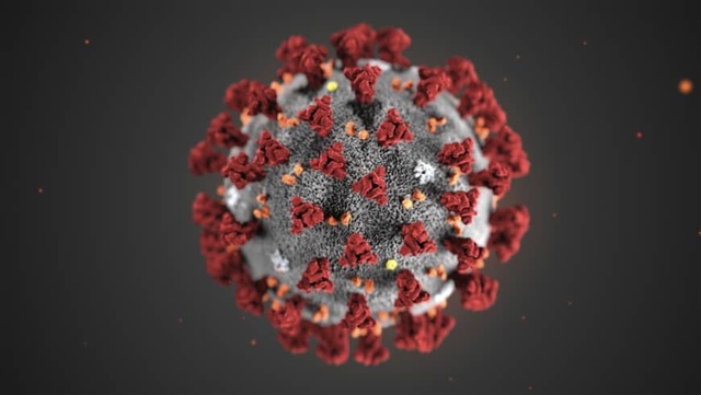 Virus corona có thể tiến hóa nguy hiểm hơn cả cúm mùa? - 1