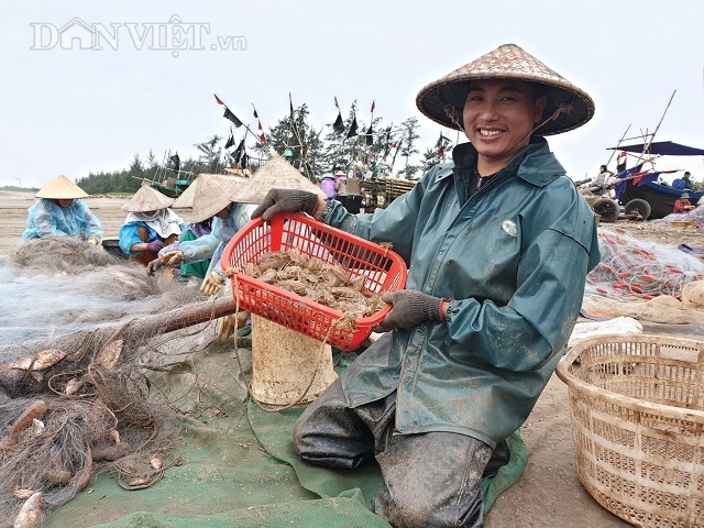 Nam Định: Ra biển kéo lưới trúng đậm tôm hung dữ toàn con to bự - 4