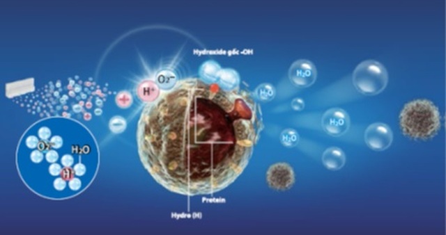 Những điều nên và không nên làm giữa tâm dịch corona và H5N1 - 2