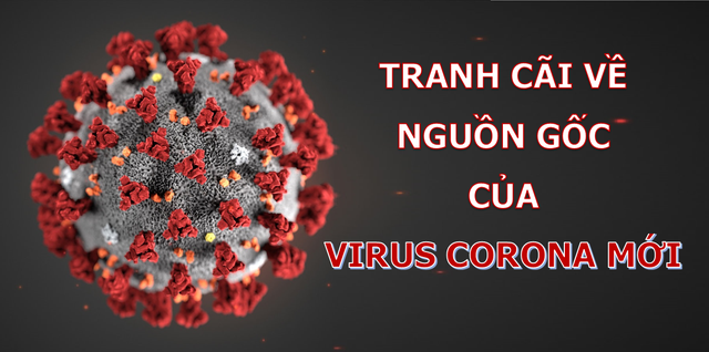 Phát hiện đầy bất ngờ về nguồn gốc của virus corona mới - 1