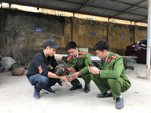 Bắt sới bạc liên tỉnh tại bãi tha ma - 1 Bắt sới bạc liên tỉnh tại bãi tha ma - 1