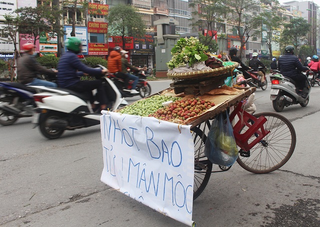 Kiếm tiền triệu mỗi ngày nhờ bán nhót xanh - 1 Kiếm tiền triệu mỗi ngày nhờ bán nhót xanh - 1
