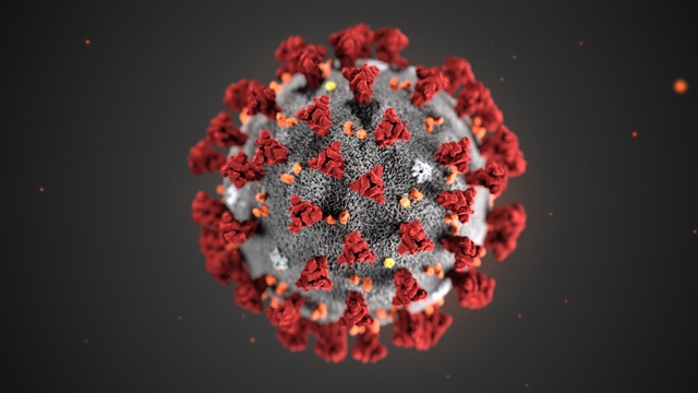 WHO: Virus corona mới có tên gọi chính thức là “COVID-19” - 2