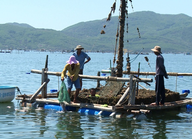tomhum-2-1581500819008.jpg