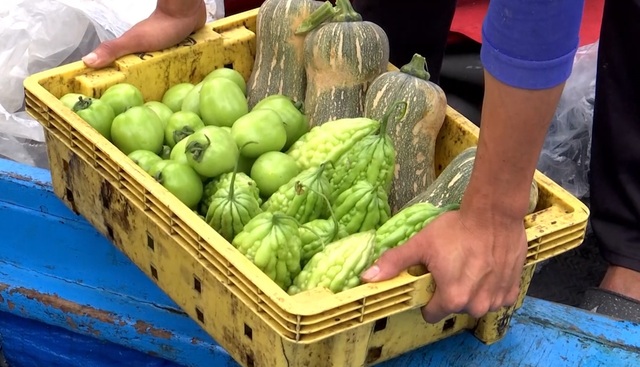 Phú Yên: Hàng trăm tàu cá của ngư dân háo hức vươn khơi đầu năm - 4 Phú Yên: Hàng trăm tàu cá của ngư dân háo hức vươn khơi đầu năm - 4