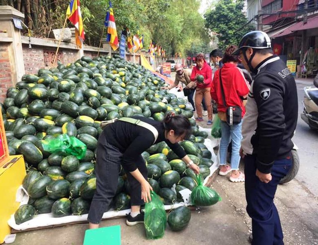 Thanh niên đất võ ra tay “giải cứu” dưa tồn giúp nông dân - 2 Thanh niên đất võ ra tay “giải cứu” dưa tồn giúp nông dân - 2