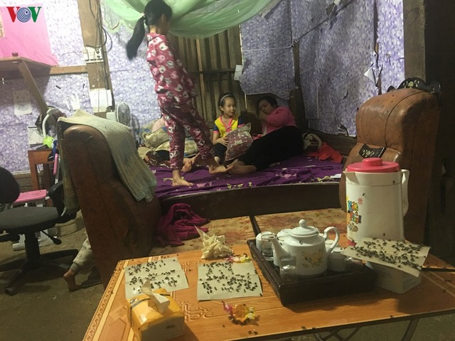 Cuộc sống hàng trăm người dân Bắc Kạn đảo lộn vì ruồi - 1 Cuộc sống hàng trăm người dân Bắc Kạn đảo lộn vì ruồi - 1