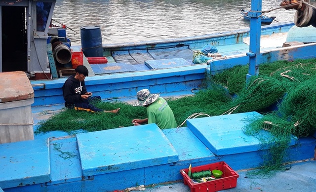 Bình Định: Ngư dân “đỏ mắt” tìm bạn thuyền vươn khơi - 4 Bình Định: Ngư dân “đỏ mắt” tìm bạn thuyền vươn khơi - 4