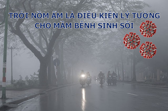 Trời nồm ẩm tăng nguy cơ mắc bệnh đường hô hấp: Làm gì để bảo vệ bản thân? - 1