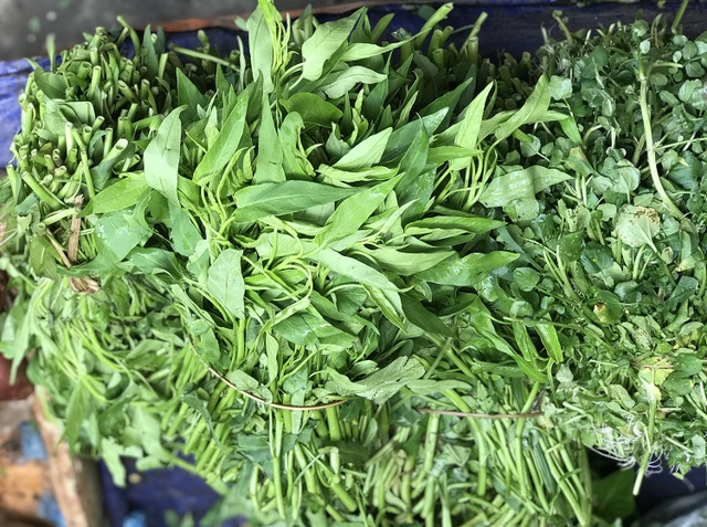 Giá rau xanh đắt đỏ, tiểu thương rón rén nhập hàng - 2 Giá rau xanh đắt đỏ, tiểu thương rón rén nhập hàng - 2