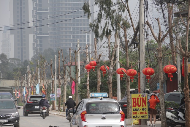 Hà Nội: Hàng trăm cây xanh chết khô trên con đường mới mở - 12 Hà Nội: Hàng trăm cây xanh chết khô trên con đường mới mở - 12