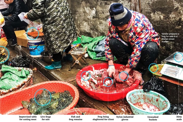 Người Trung Quốc vẫn chưa từ bỏ thói quen nguy hiểm - Ăn động vật hoang dã - 2