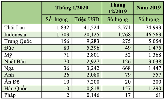 xe nhập khẩu tháng 1