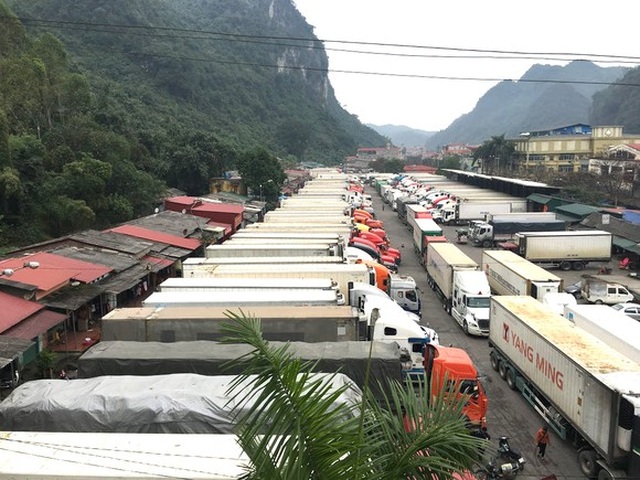 Hàng trăm xe trái cây tươi vẫn “bất động ở cửa khẩu, chờ sang Trung Quốc - 1 Hàng trăm xe trái cây tươi vẫn “bất động ở cửa khẩu, chờ sang Trung Quốc - 1