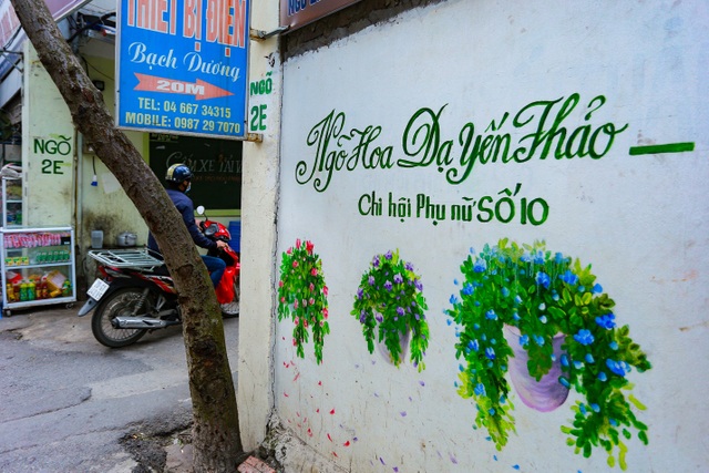 Bất ngờ ngõ hoa dạ yến thảo đẹp mê mẩn giữa lòng Hà Nội - 2 Bất ngờ ngõ hoa dạ yến thảo đẹp mê mẩn giữa lòng Hà Nội - 2