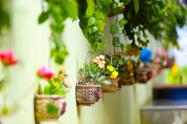 Bất ngờ ngõ hoa dạ yến thảo đẹp mê mẩn giữa lòng Hà Nội - 3 Bất ngờ ngõ hoa dạ yến thảo đẹp mê mẩn giữa lòng Hà Nội - 3