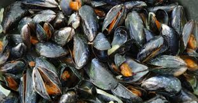 Nắng nóng như thiêu đốt nướng chín hơn nửa triệu con trai trên bãi biển - 2 Nắng nóng như thiêu đốt nướng chín hơn nửa triệu con trai trên bãi biển - 2