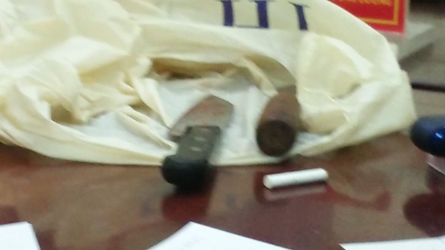 Hà Nội: Nghệ sĩ Opera hàng đầu Việt Nam bị anh vợ nghi ngáo đá đâm chết - 4