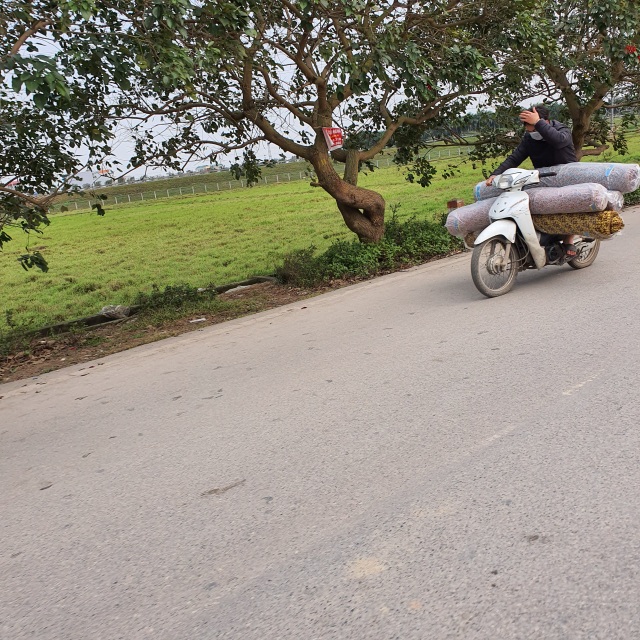 Chợ Ninh Hiệp vắng vẻ, tiểu thương ngồi chơi cả ngày vì không có hàng - 4 Chợ Ninh Hiệp vắng vẻ, tiểu thương ngồi chơi cả ngày vì không có hàng - 4