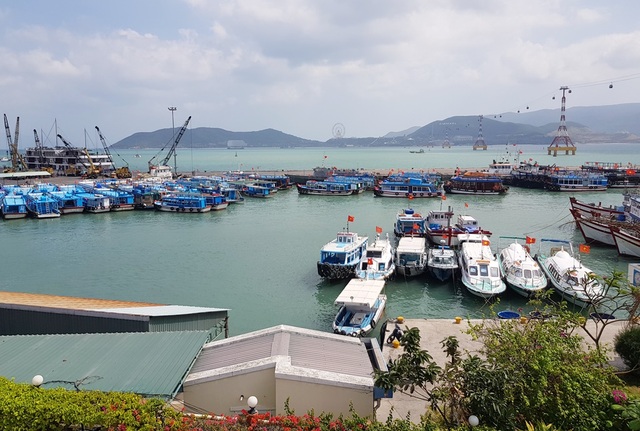 Nha Trang: Hàng trăm tàu du lịch nằm bờ, cảng du lịch đìu hiu chưa từng có - 9 Nha Trang: Hàng trăm tàu du lịch nằm bờ, cảng du lịch đìu hiu chưa từng có - 9